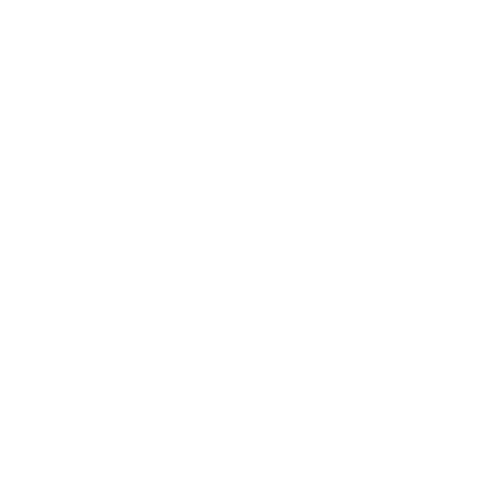 Longevity-logo-transparent